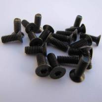 Torx Zinc Black